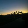 jackierodri07